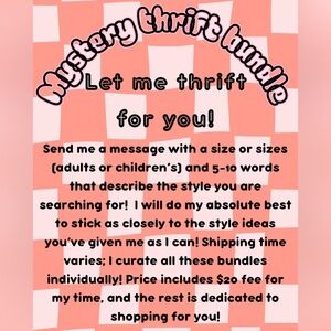 ADULT Mystery Thrift Bundle